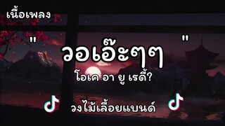 วอเอ๊ะๆๆ - วงไม้เลื้อยแบนด์ (เนื้อเพลง)เพลงดังใน Tiktok