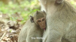 Janet Get Sweet Milk Before Jane Give Birth, She Very When Her Mom Provide Warm Care To Her