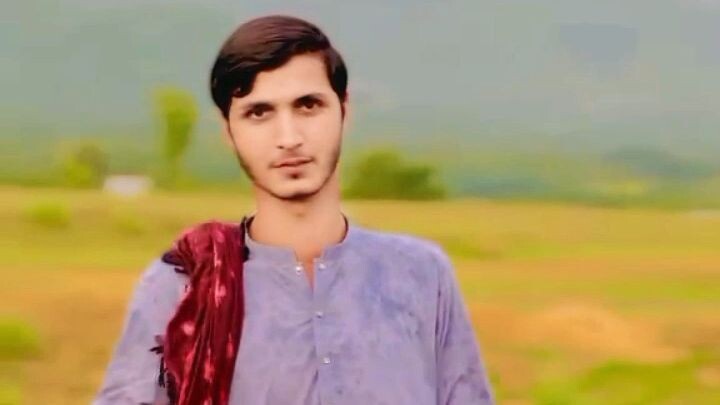 TikTok shart video