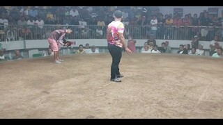 3 hits Gallera mandaue 2nd fight Win