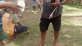 saya talaga ng sabing sa bukid