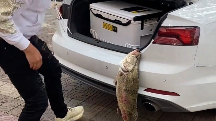 It’s too big; it won’t fit in the car.