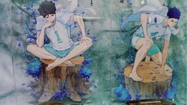 [Haikyuu!] Unboxing of the complete set of barefoot standees!