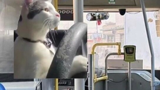The weird bus driver targeted me