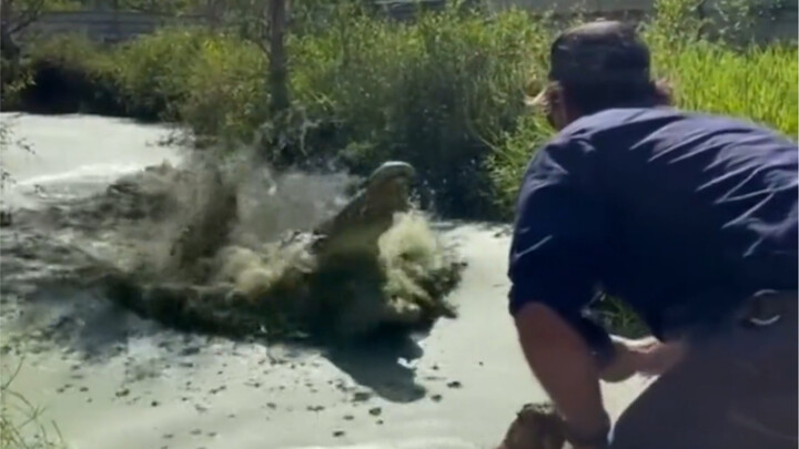 วันนี้จะให้อาหารจระเข้กับทุกคนเลย!