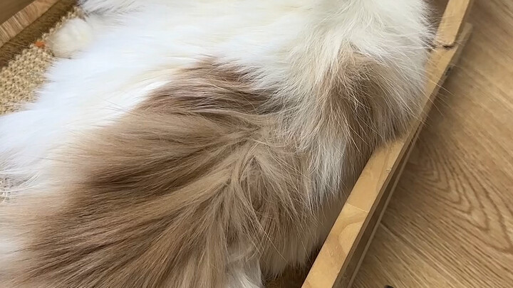 看你还敢不敢尿床！