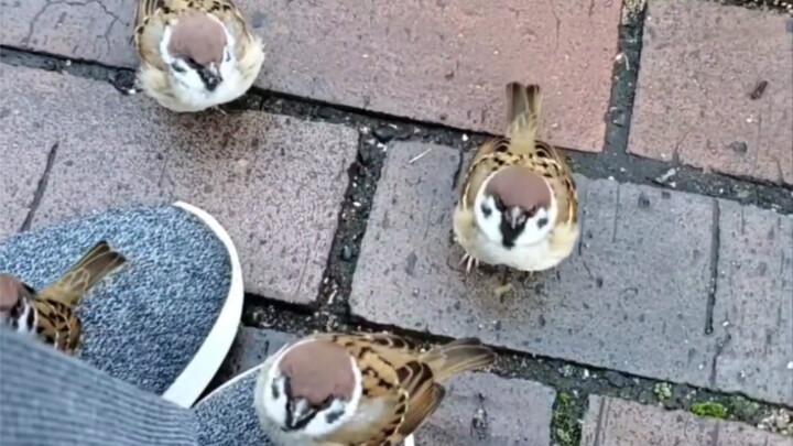 If you stand still, you will grow little fat