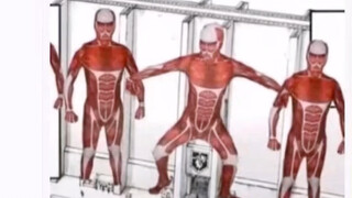 兵长从这门走出去，然后再也没长高