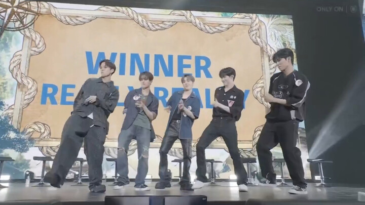 【TREASURE】240804 东京粉丝见面会 YG舞蹈COVER