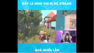 Đây là Ne lợn khi bị đá stream quá là nhiều lần