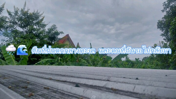 🌧️🌊 คืนที่ฝนตกกลางทะเล และคนที่ฉันรอไม่กลับมา