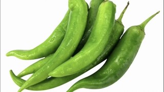 Pengetahuan Sains Populer