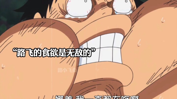 Luffy kali pertama makan hingga batas maksimal