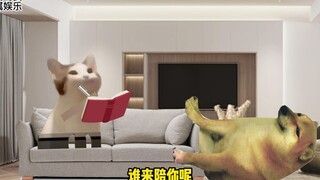cheems 极品男友（三）