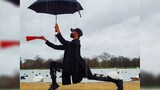 水墨孤鹤在英国伦敦的天鹅湖起舞。