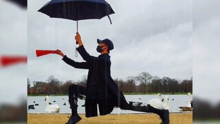 นกกระเรียนหมึกโดดเดี่ยวเต้นรำใน Swan Lake, London, England