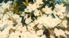 Maxton Hall Season 2 - Episode 3