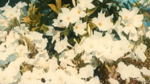 Maxton Hall Season 2 - Episode 3