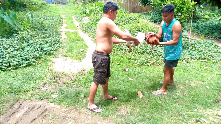 Sinibalang 1 eye vs Abuhin balda ang paa , win abuhin ako nag tare practice lang.