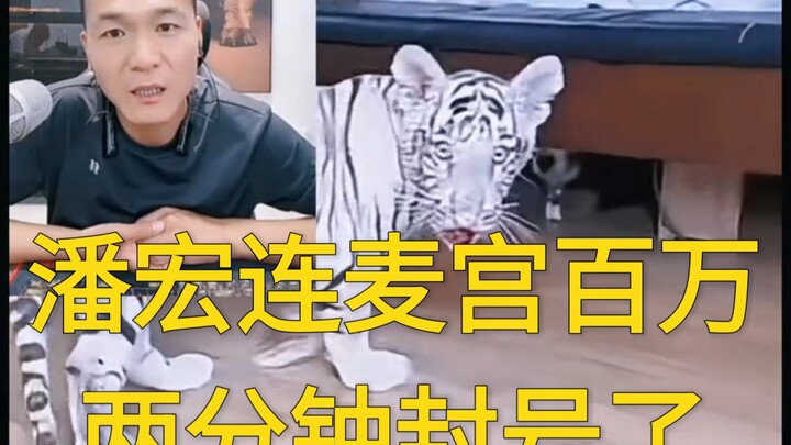 Pan Hong connects via voice call with internet celebrity Gong Baiwan