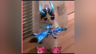 CapCut cute mà đúng ko 😼 xuhuong meocute freefire thinhthichfake meo cute
