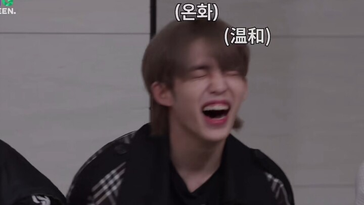 【SEVENTEEN】Hành trình lên trời của maknae và vị đội trưởng bị phủ nhận dữ dội