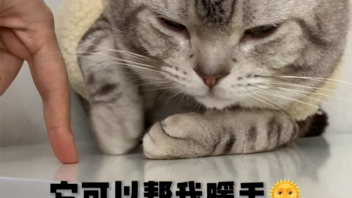 เมื่อฉันส่งวิดีโอเจ้าหมาน้อยให้แม่ดู…