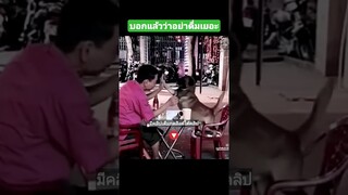 บอกแล้วว่าอย่าดื่มเยอะ