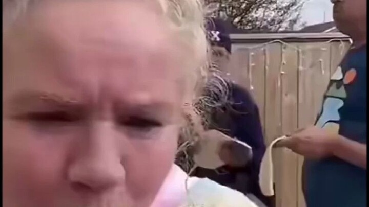 ปฏิกิริยาลูกโซ่