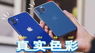 [6K] What's your favorite color? iPhone 12 full range of real color shots