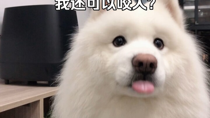 เนื้อแกะ: มันกัดอะไร กินได้ไหม?