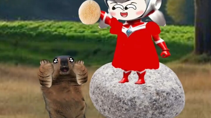 Sister Xiao Qiao likes ground rats