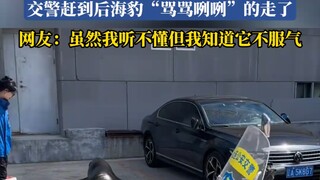 男子车位被海狮占去选择报警，交警赶到后海豹“骂骂咧咧”的走了