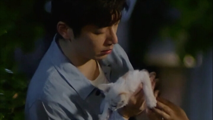 【ไป๋เคอ】กระแสน้ำฤดูใบไม้ผลิ