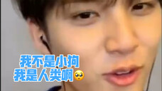几米奎:都说我不是小狗啦!