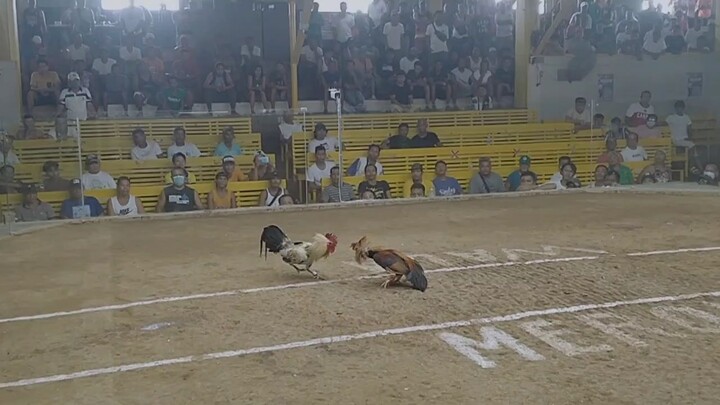 Tanza Two hits ulutan champion