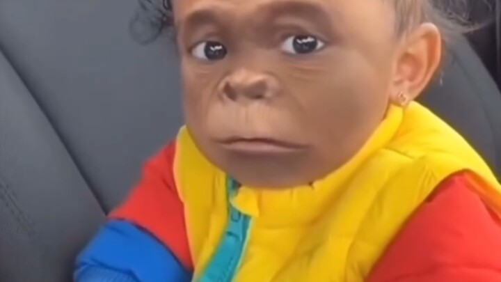 4-Year-Old Girl’s Reaction After Realizing She’s Turned Into a Gorilla