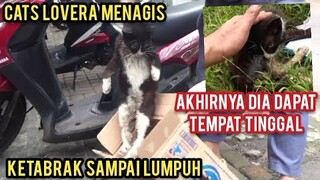 Masya Allah Kucing Lumpuh Berhari-Hari Di Jalanan Alhirnya Dapat Tempat Tinggal Bikin Aku Menangis.!