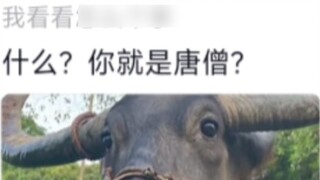 When Niu Niu came down to earth, Laojun gave many instructions