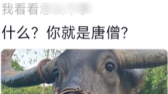 When Niu Niu came down to earth, Laojun gave many instructions