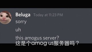 [بيلوغا وأصدقاؤه] لأول مرة هنا! هل هذا هو عالم الديسكو؟