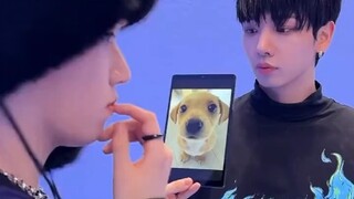 明宰铉 RIWOO TikTok更新 你为何彷徨 让我搞不清方向🐶