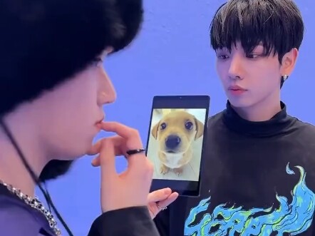 明宰铉 RIWOO TikTok更新 你为何彷徨 让我搞不清方向🐶