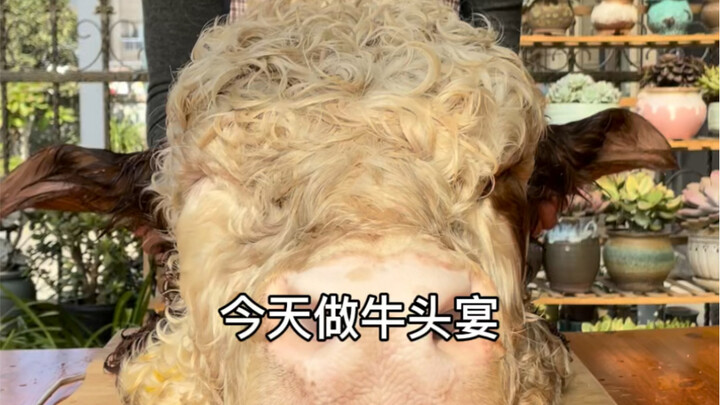 朋友们，牛头你们爱吃吗？听我爸爸说，吃了牛头干活有力气，今天我把牛头的做法分享给大家看看