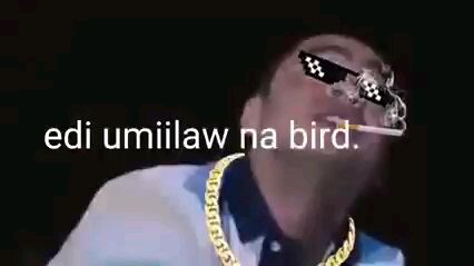 edi umiilaw na bird😆