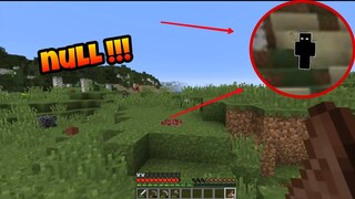 Câu Chuyện Kinh Dị Gặp Null Khi Chơi Server Minecraft Bỏ Hoang !!!