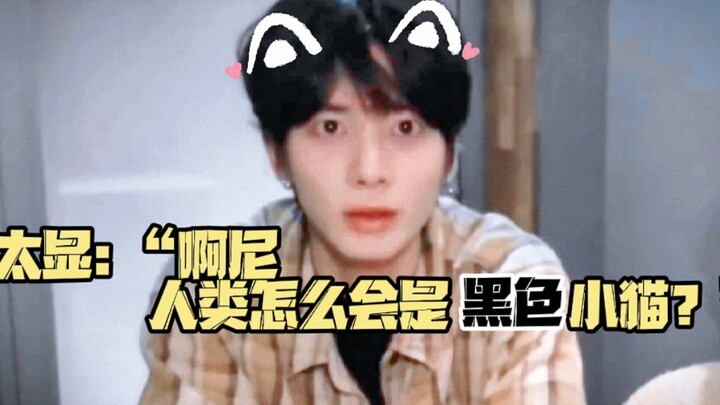 Xiu Bin: “Kenapa manusia nggak bisa jadi kucing kecil berwarna hitam?”