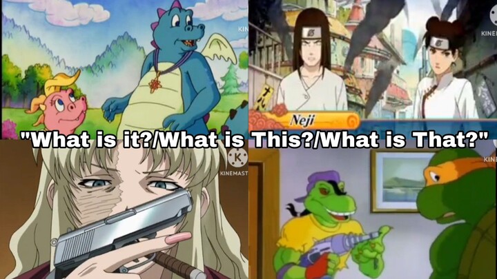 "What is It?"/"What is This?"/"What is That?" Compilation