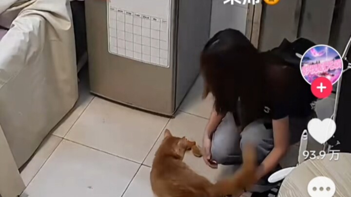 【TikTok】This viral Douyin video has gone global—a grandson abroad, a grandma at home (comments inclu