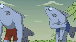 thỏ bảy màu | CẦU CÁ TRA PHẦN II
